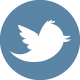 Twitter Logo