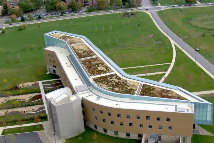 1_Green_Roof.jpg