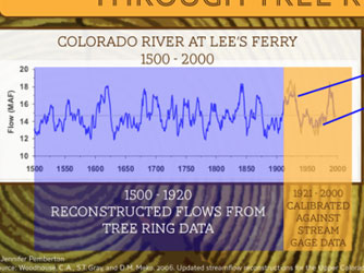 Five_Billion_Gallons-_Episode_2-_What_Trees_Know_about_Drought.jpg