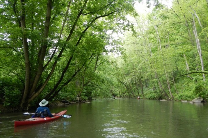 Mountain_Talk-_The_Benefits_of_Cleaner_Waterways.jpg