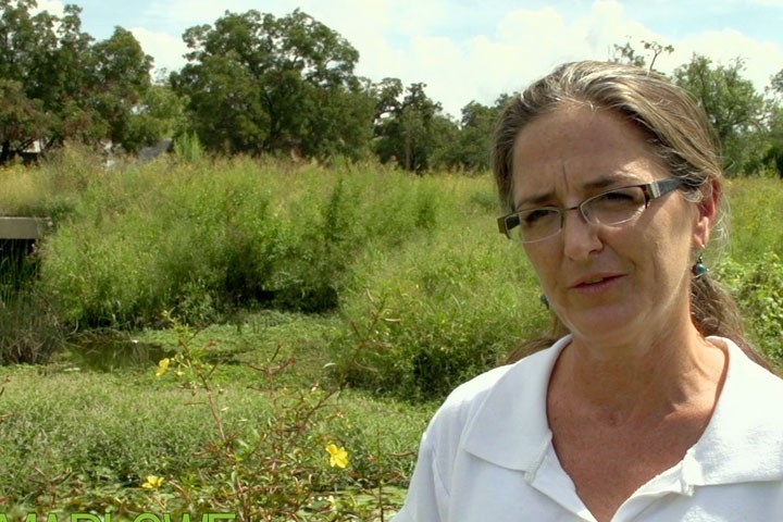 San_Antonio_River_Restoration.jpg