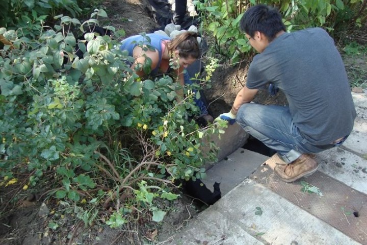 build-a-rain-garden.jpg